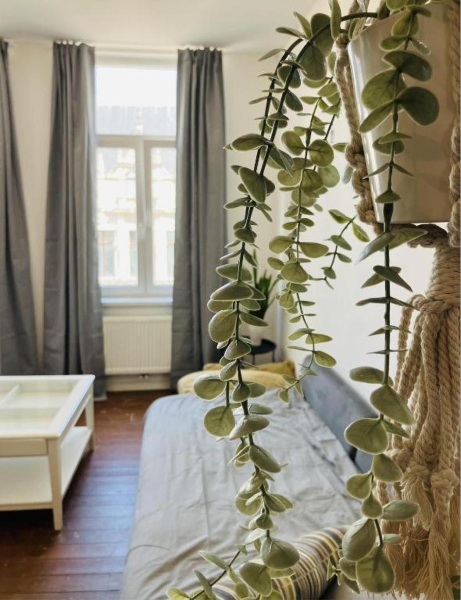 Suikernest Apartment Antwerp