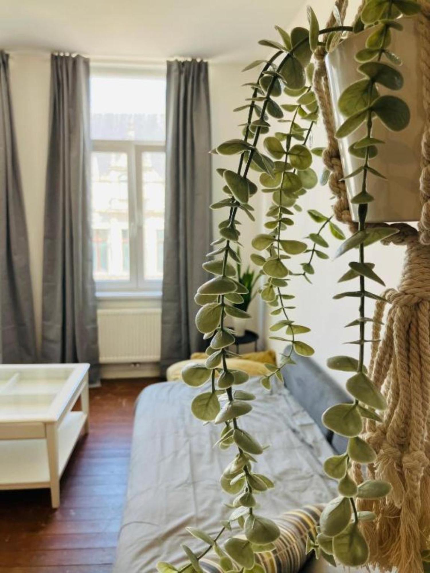 Apartment Suikernest Antwerp